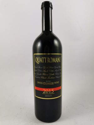 ticino-quattromani552-photo1